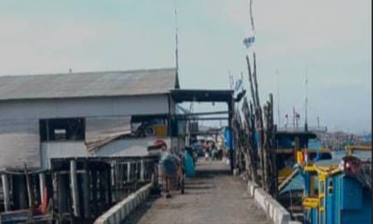  Tangkahan Ikan Diduga Dijadikan Tempat Bongkar Muat BBM Ilegal