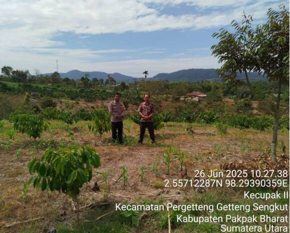  Pemanfaatan Pekarangan Pangan Bergizi dan Lahan Produktif Dukung Ketahanan Pangan di Kabupaten Pakpak Bharat
