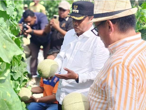  Bupati Sergai Ajak Petani Milenial Belajar dari Boiren, Petani Sukses Dengan Omzet Miliaran