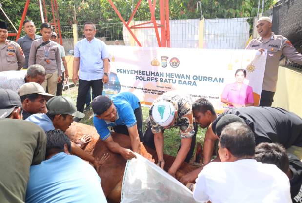  Idul Adha 1446 H, Polres Batubra Sembelih 10 Ekor Sapi dan 12 Kambing Untuk Masyarakat dan Keluarga Polri