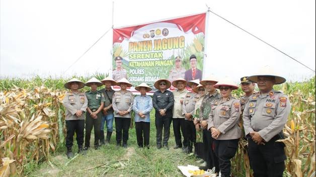  Kapolres Sergai Bersama Forkopimda Laksanakan Panen Raya Jagung Serentak Kuartal II Tahun 2025