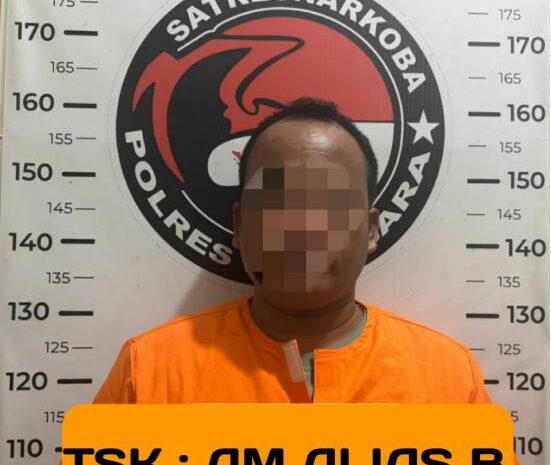  Edarkan Sabu dan Ganja di Belakang Rumah, Pria Kecamatan Datuk Lima Puluh Diringkus