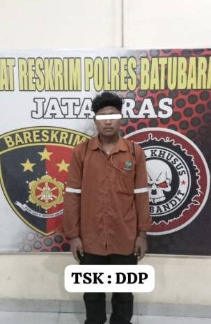  Diduga Cabuli Anak di Bawah Umur, Pria Medang Deras Diamankan Polisi