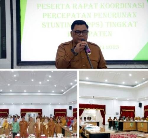  TPPS Sergai Fokus Perkuat Peran Keluarga Dalam Upaya Penurunan Stunting