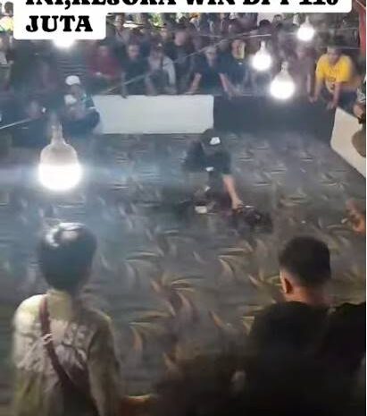  Judi Dadu & Sabung Ayam “Tebing Arena” Milik Putra di Jalan Indra Tebing Tinggi Kebal Hukum