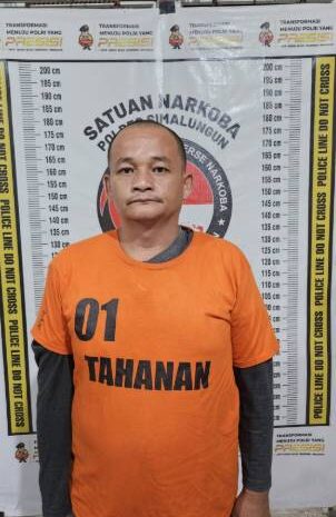  Sat Narkoba Polres Simalungun Sita 11,57 Gram Sabu di Kebun Sawit PTPN 4