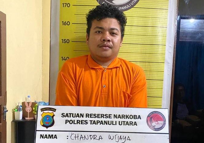  Polres Taput Ringkus 6 Pelaku Penyalagunaan Narkotika