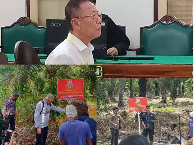  Vonis 10 Tahun dan UP 797 M, Akuang Tak Ditahan Hakim, Koperasi STM Diduga Masih Panen Sawit di Hutan Negara, Kastel Langkat: Dititip ke BKSDA