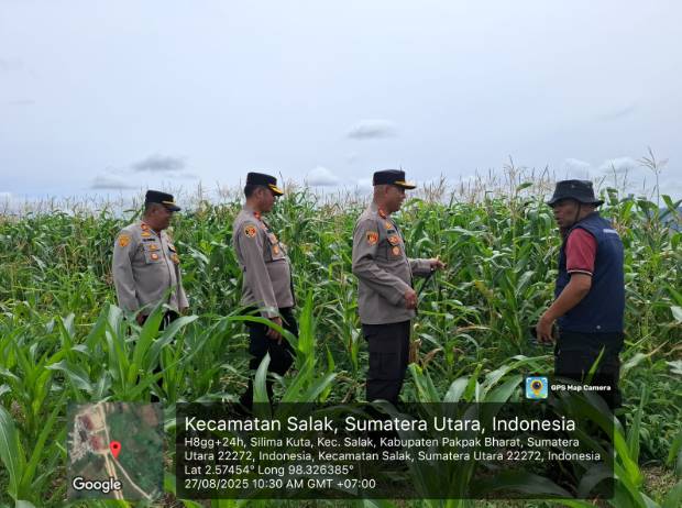  Dukung Ketahanan Pangan, Kapolres Pakpak Bharat Bersama PJU dan Stackholder Cek Lahan Ketapang