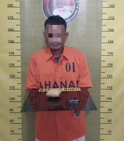  Polres Sibolga Bekuk Residivis Pengedar Sabu, Barang Bukti Hampir 80 Gram Diamankan