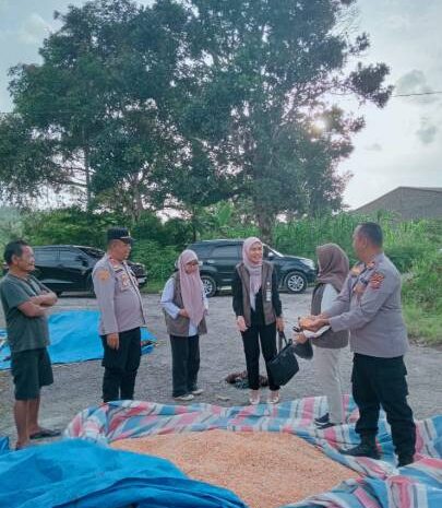  Kapolsek Salak dan Kapolsek Sukaramai Dukung Ketapang Cek Kadar Air Hasil Panen Jagung Milik Masyarakat