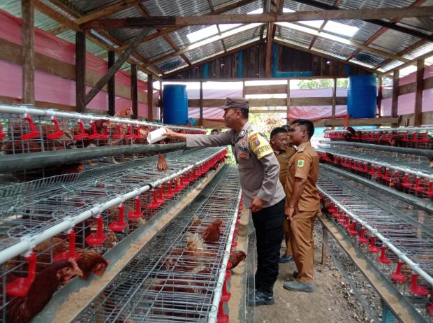  Bhabinkamtibmas Polsek Salak Hadiri Launching BUMDES Arih Mersada, Dukung Ketahanan Pangan Melalui Ternak Ayam Petelur