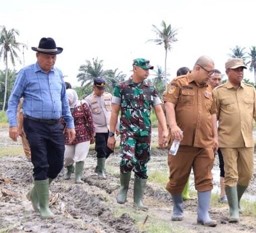  DPRD Sergai Togar Situmorang Turun ke Sawah, Perkuat Ketahanan Pangan dan Dongkrak Produktivitas