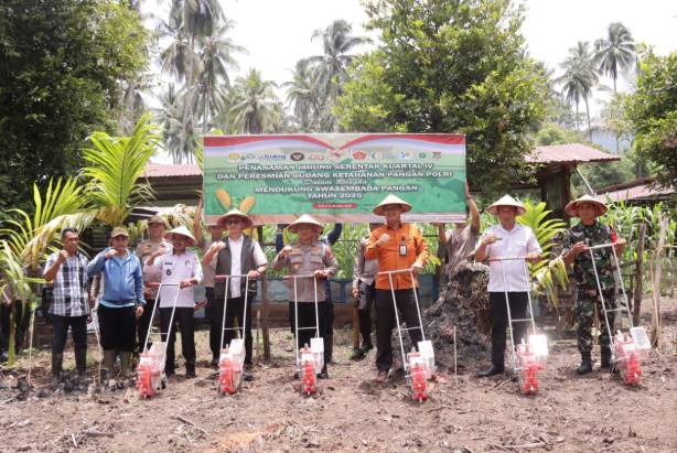  Polres Morowali dan Polsek Jajaran Gelar Penanaman Jagung Kuartal IV Secara Serentak di Kabupaten Morowali