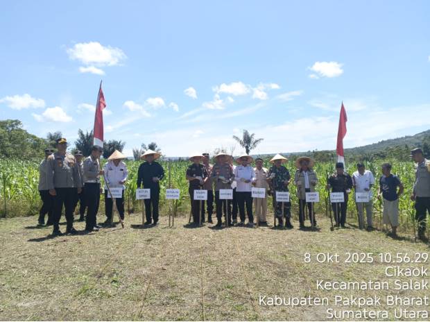  Dukung Ketahanan Pangan, Polres Pakpak Bharat dan Jajarannya Tanam Bibit Jagung Kwartal Ke-IV Serentak