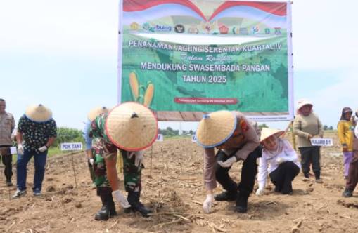  Polresta Deli Serdang Gelar Tanam Bibit Jagung Serentak Kuartal IV