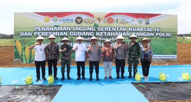  Polda Sumut Gelar Penanaman Jagung Serentak Kuartal IV Dukung Program Ketahanan Pangan Nasional