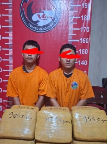 Dua Tas Ransel Berisi 15 Bal Ganja dan Pelaku Tak Berkutik Ditangkap Polres Madina