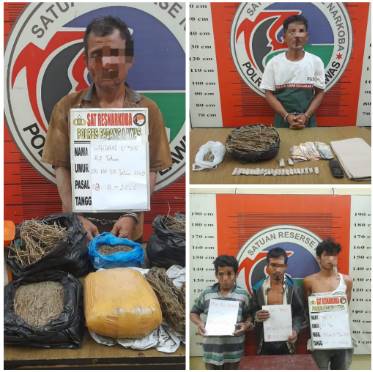  Polres Palas Ungkap Jaringan Ganja Antar Desa