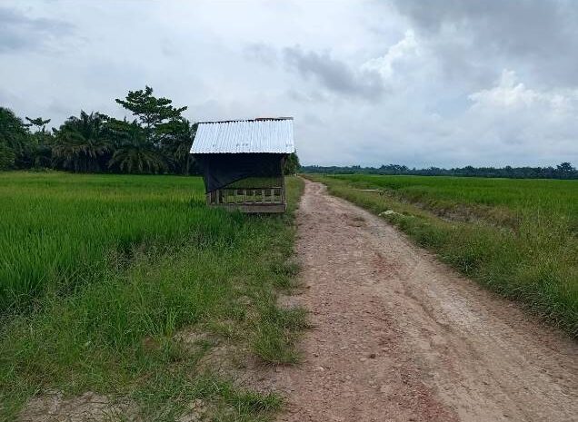  Warga Heran, Bangunan Pondok Berdiri di Jalan Umum Desa