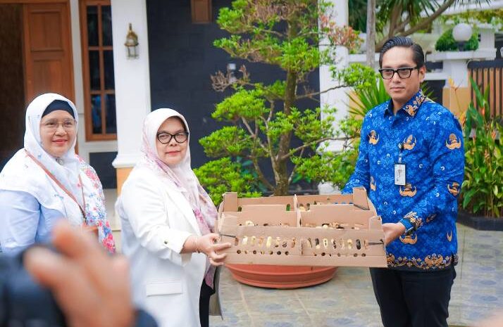  Dinilai Lebih Produktif, Wali Kota Medan Tertarik Kembangkan Ayam KUB Guna Tambah Pasokan Telur