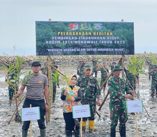  Dukung Indonesia Hijau, Wabup Iriane Ilyas Ikut Menanam Mangrove Pada Pembinaan Lingkungan Hidup Kodim 1311/Morowali