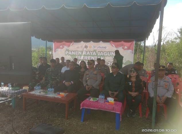  Komitmen Dukung Program Ketahanan Pangan, Polres Pakpak Bharat dan Stackholder Terkait Lakukan Panen Raya