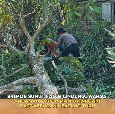  Brimob Sumut Hadir Lindungi Warga, Ancaman Pohon Mati Ditangani Pasca Bencana Batang Toru