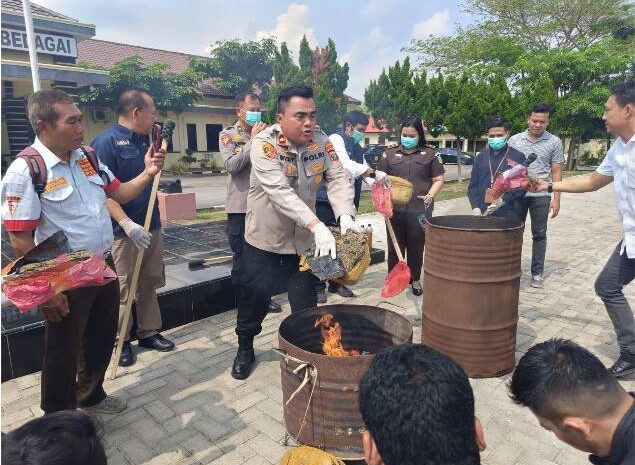  Polres Sergai Ungkap Jaringan Narkotika, Amankan 14 Kilogram Ganja dan Dua Tersangka