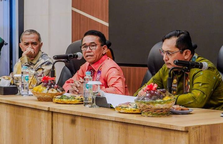  Zakiyuddin Harahap Sampaikan Persoalan Normalisasi Sungai di Hadapan DPR RI