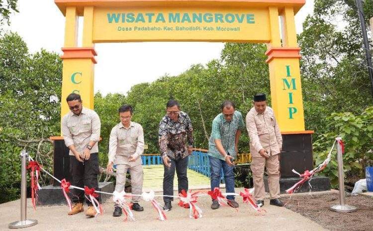  CSR IMIP Tuntaskan Pembangunan Desa Wisata Mangrove Padabaho