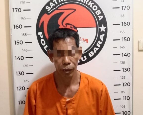  Satres Narkoba Polres Batubara Ringkus Pengedar Ganja Kering