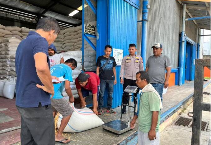  Komitmen Polri Bantu Petani, Polres BatuBara Salurkan Jagung Ke Bulog Asahan