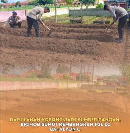  Dari Lahan Kosong Jadi Sumber Pangan, Brimob Sumut Kembangkan P2L di Batalyon C