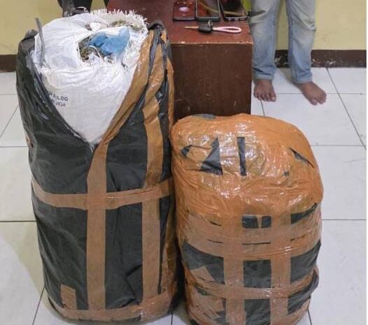  Ditres Narkoba Polda Sumut Gagalkan Peredaran 20 Kg Ganja Asal Aceh, Tiga Pelaku Diamankan di Medan