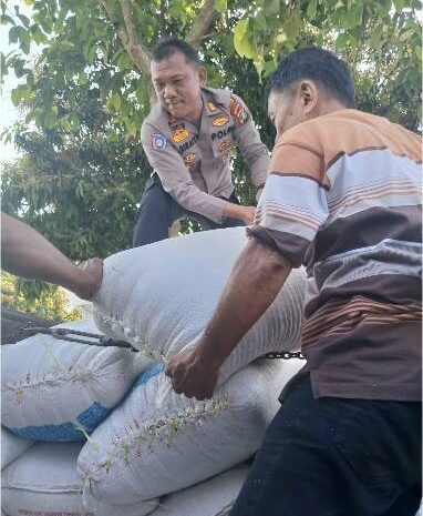  Polres Batubara Dukung Program Ketahanan Pangan, Jagung Lokal Disalurkan Ke Bulog Asahan