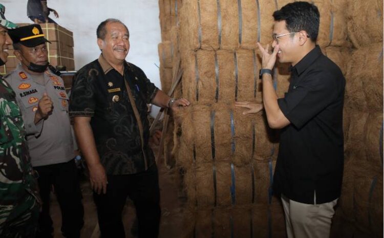  Produksi Sabut Kelapa Asahan Tembus Pasar Ekspor Cina, Bupati Dukung Pengembangan Hilirisasi