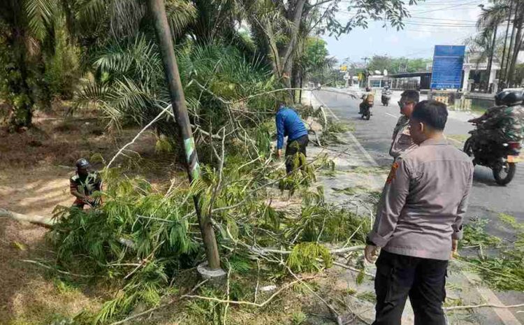  Respons Cepat Personil Pos Pam 2 Sei Bejangkar, Bersihkan Pohon Tumbang di Desa Benteng Jaya Batu Bara