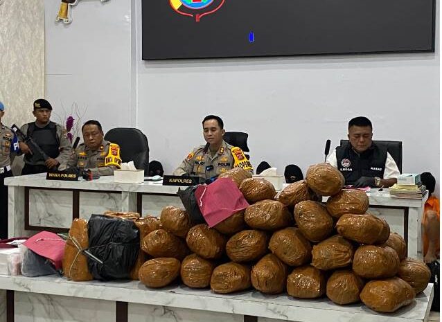  Polres Madina Ungkap 11 Kasus Narkotika Selama Februari 2026, 15 Tersangka Diamankan