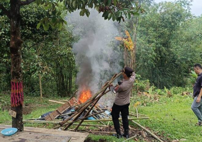  Polsek Pancur Batu Gerebek Sarang Narkoba, Dua Pengguna Sabu Diamankan dan Barak Dihancurkan