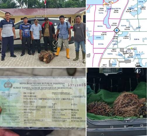  Kepergok Centeng, Dua Pencuri TBS Sawit Ditangkap Usai Kejar-Kejaran 15 Km