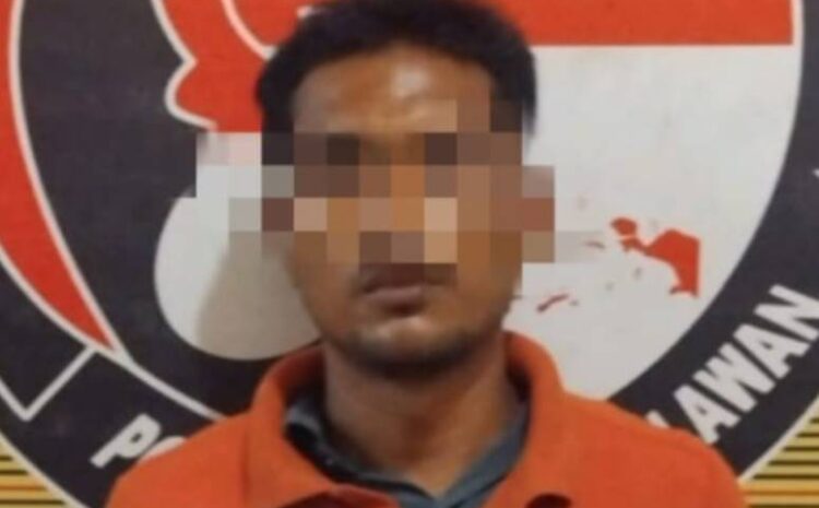  Sat Narkoba Polres Pelabuhan Belawan Tangkap Pengedar Sabu di Marelan