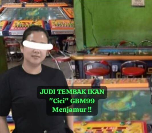  Judi Tembak Ikan Cici GBM99 ‘Dipelihara’ Menjamur di Belawan, Warga Resah