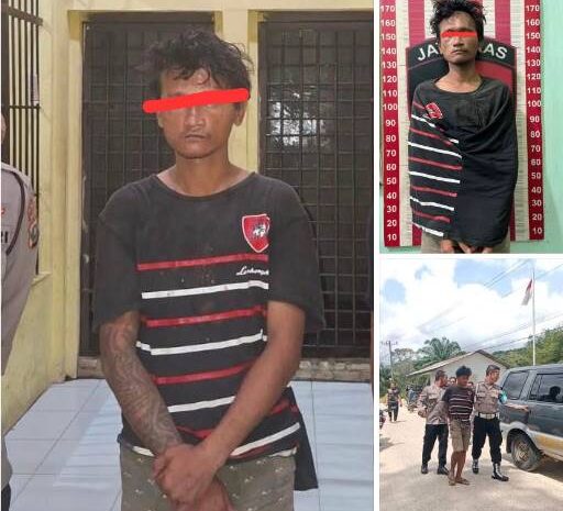  Polres Tapteng Ungkap Kasus Pencabulan Anak di Kecamatan Badiri