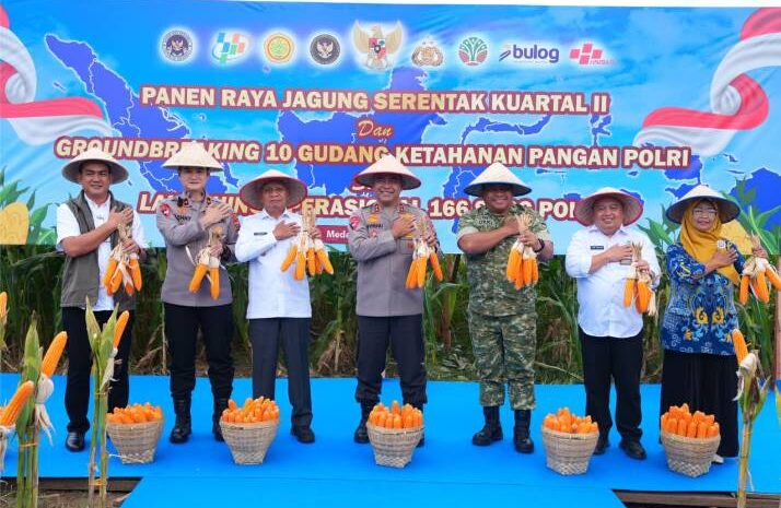  Polda Sumut Ikuti Panen Raya Jagung Serentak Polri Bersama Presiden Prabowo, Dukung Ketahanan Pangan Nasional