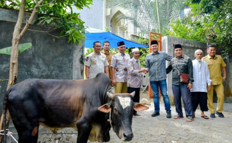  Wabup Sergai Salurkan Hewan Qurban, Perkuat Solidaritas Sosial Jelang Idul Adha