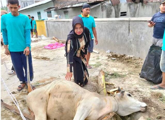  Rayakan Idul Adha 1447 H, Owner Topkota.co Kurban 1 Lembu