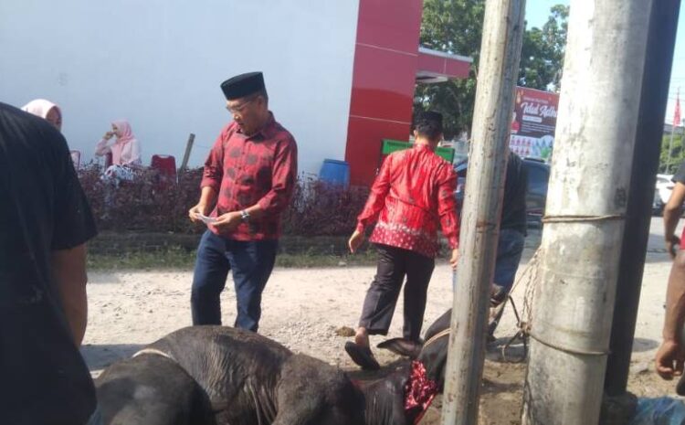  PDIP Perjuangan Gelar Penyembelihan Hewan Kurban di Halaman Kantor Partai