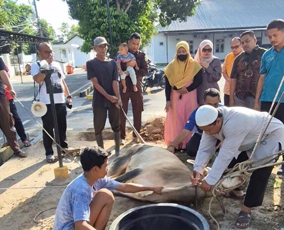  Kejari Sergai Sembelih Hewan Qurban, Kajari Tekankan Nilai Kepedulian Sosial