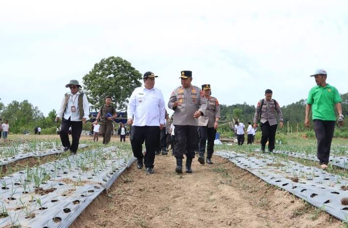  Kapolda Sumut Tinjau Sentra Bawang Putih di Samosir, Tegaskan Dukungan Polri Untuk Ketahanan Pangan Nasional